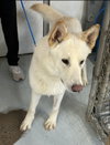Coco ("Clive") - Photo 9