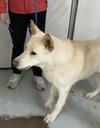 Coco ("Clive") - Photo 10