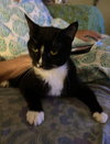 Aoibheann - Photo 2