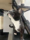 Aoibheann - Photo 4