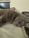 Cici Sweetheart - Photo 3