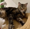 AmaLee - Photo 1