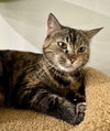 AmaLee - Photo 2