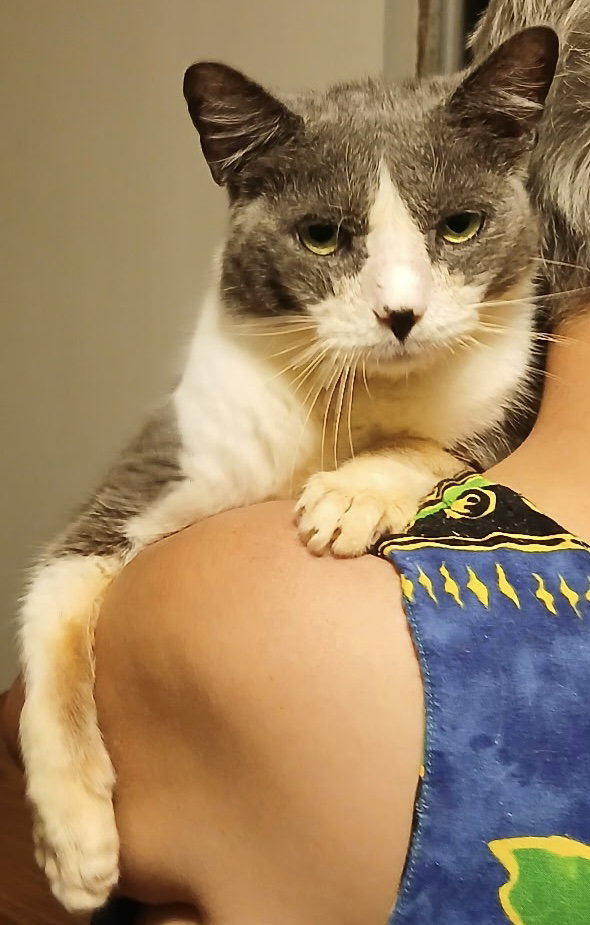 Casper SR