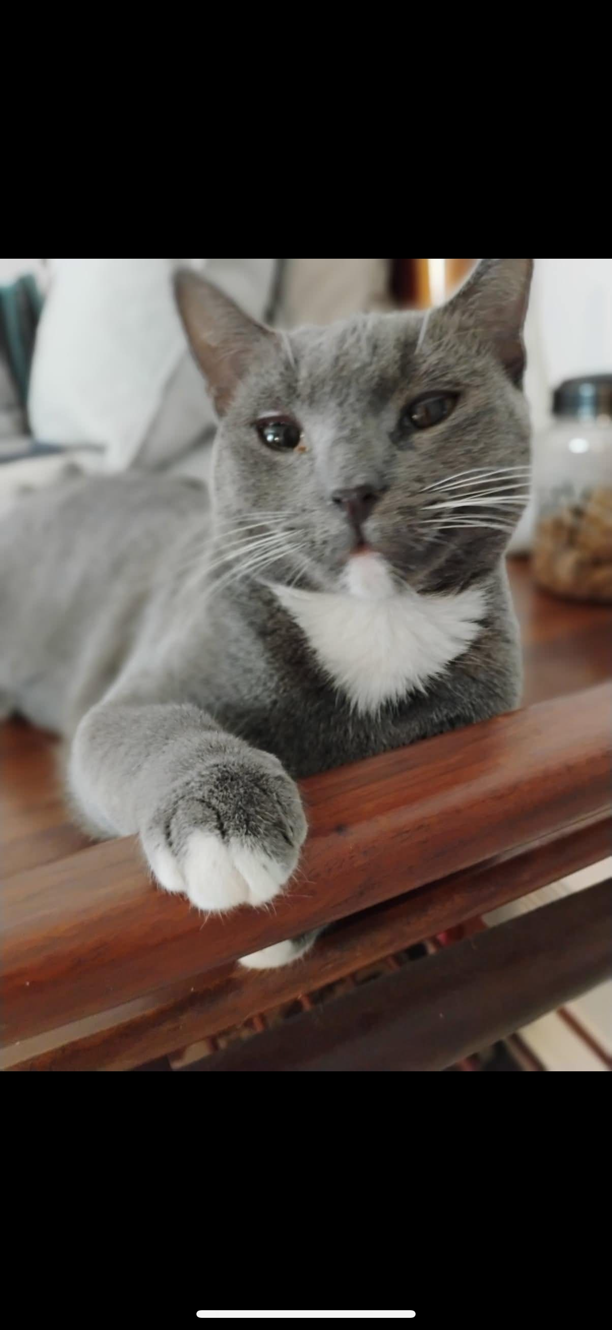 Socks B Image