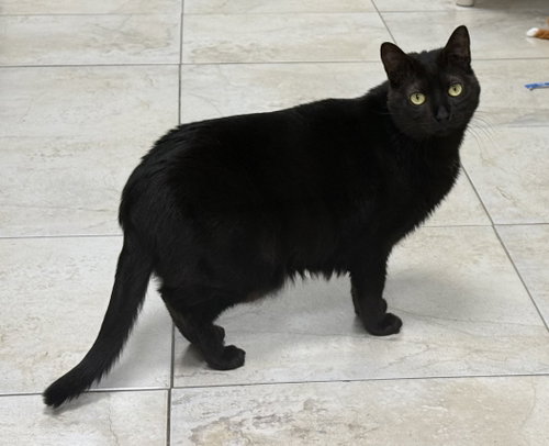 Photo 3 of Stryder