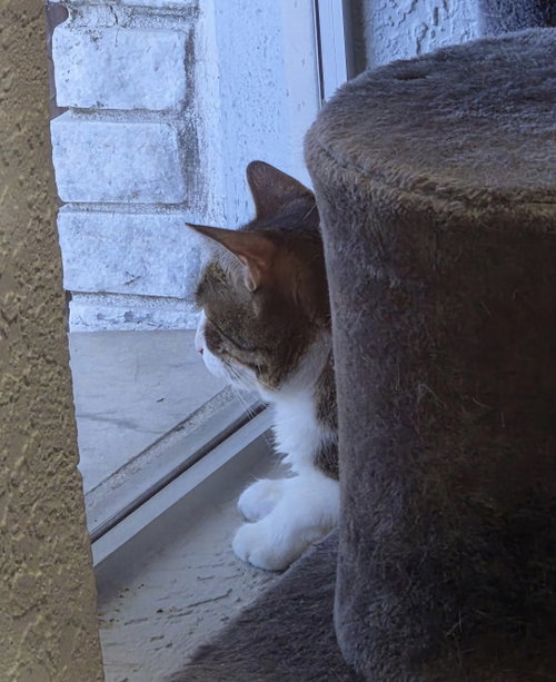Photo 4 of Boing