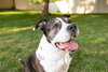 Doula - Photo 8