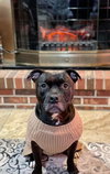 Puppy - Photo 6