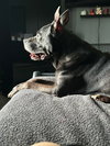 Gramps - Photo 6