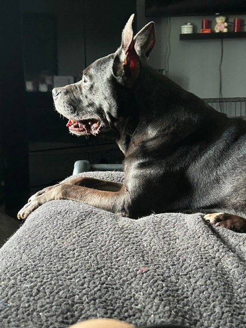 Gramps photo 6