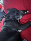 Gramps - Photo 7