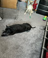 Gramps - Photo 8