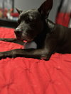 Gramps - Photo 9