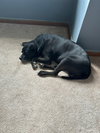 Gramps - Photo 10