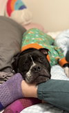 Junior - Photo 7