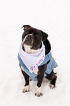 Junior - Photo 9