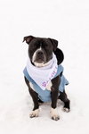 Junior - Photo 10