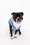 Junior - Photo 11