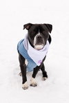 Junior - Photo 12