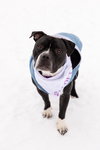 Junior - Photo 13