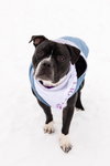 Junior - Photo 14