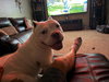 Mildred - Photo 3