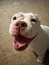 Mildred - Photo 4