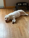 Mildred - Photo 5