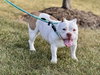 Mildred - Photo 1