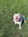 Mildred - Photo 2