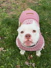 Mildred - Photo 6