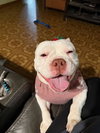 Mildred - Photo 7