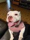 Mildred - Photo 8