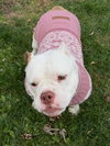 Mildred - Photo 9