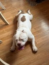 Mildred - Photo 10