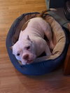 Mildred - Photo 11