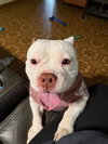 Mildred - Photo 12