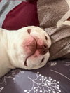 Mildred - Photo 13