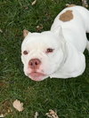 Mildred - Photo 14