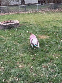 Mildred
