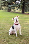 Bryce - Photo 4