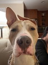 Radar - Photo 1
