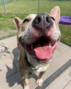 Radar - Photo 3