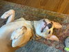Radar - Photo 5