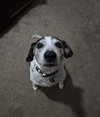 Skeeter - Photo 5