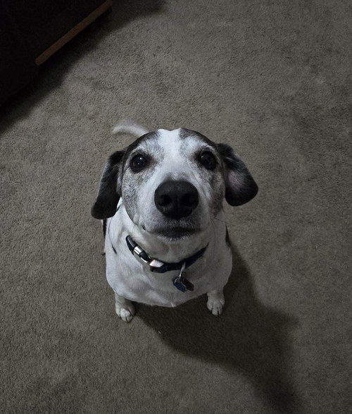 Skeeter photo 5