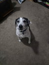 Skeeter - Photo 6