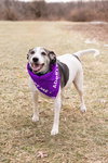 Skeeter - Photo 1