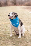 Skeeter - Photo 2